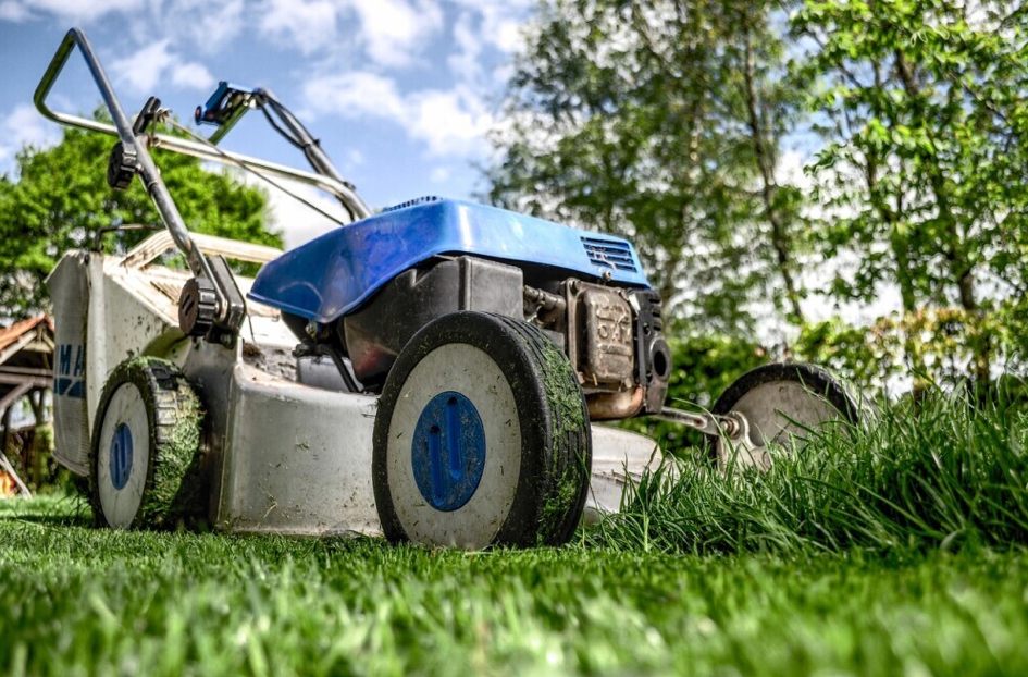 How Landscapers In Suffolk County Can Leverage Local SEO Tactics